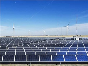 招標信息丨新能源（風(fēng)電、光伏）項目(6月第2期)