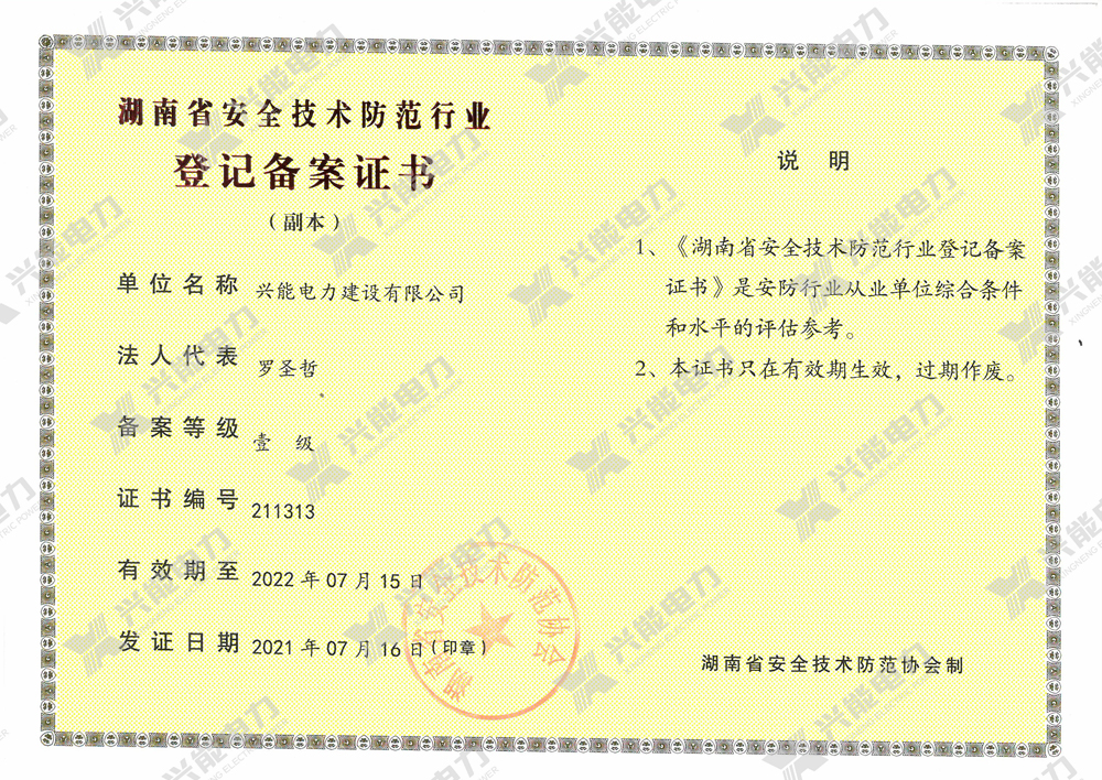 安防技術(shù)防范一級